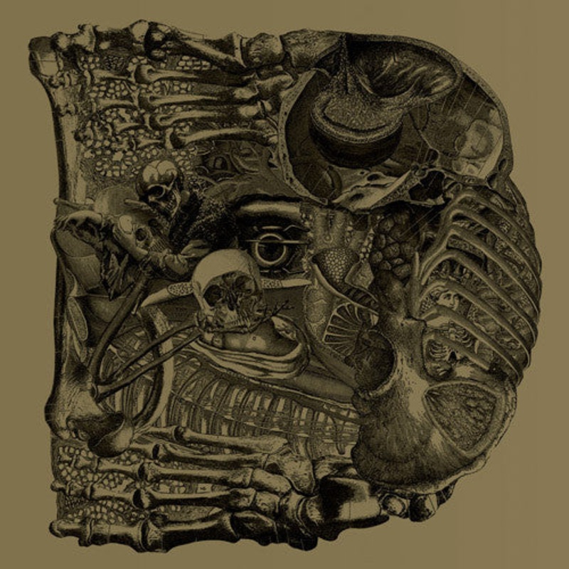 Boris – Dear 2xLP Vinyl LP Record