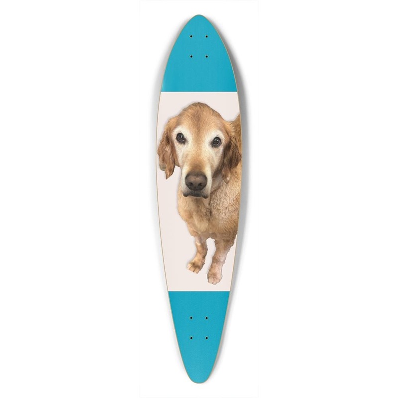 Custom Longboard white stripe Deck Only No wall hangers