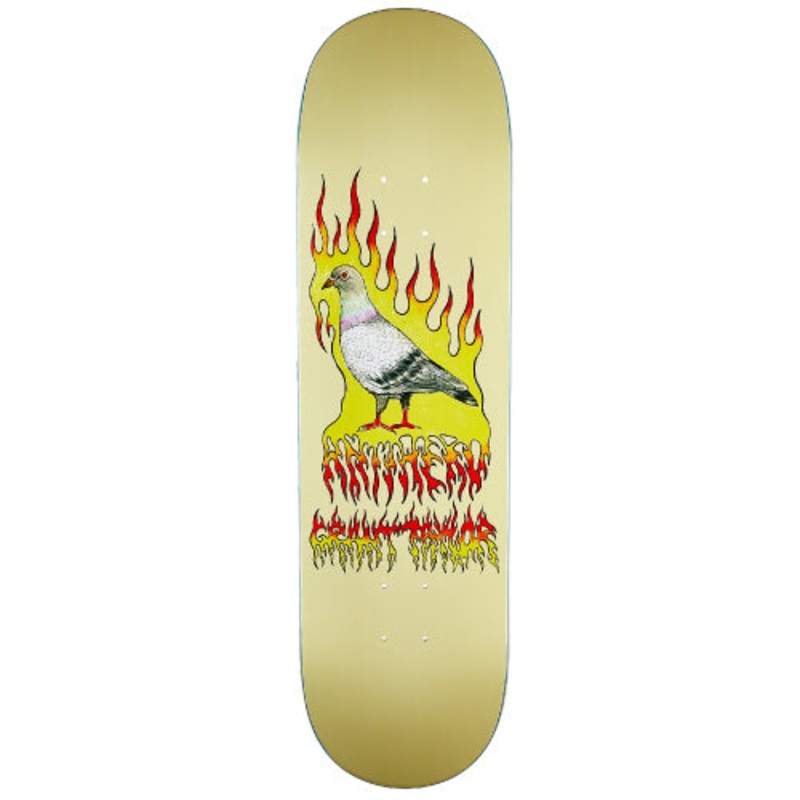 Antihero Grant Pigeon Vision Skateboard Deck 8.5″ 8.5″