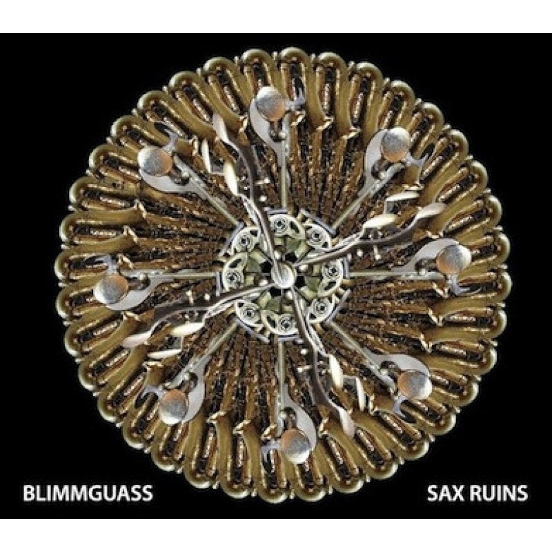Sax Ruins – Blimmgausse Vinyl LP Record