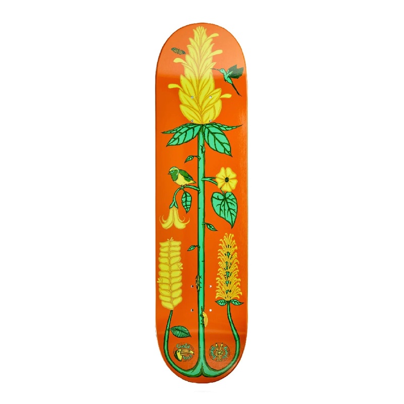 The Drawing Boards – 8.5″ The Golden Shrimp Deck – Orange 8.5″