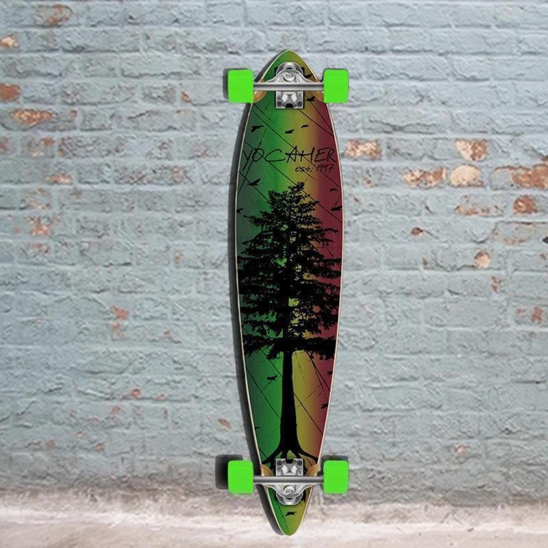 Punked Pintail In The Pines Rasta 40 inches Longboard Complete