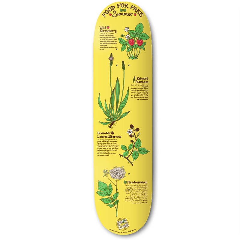 The Drawing Boards  – 8.25″ – Food For Free – Summer Deck