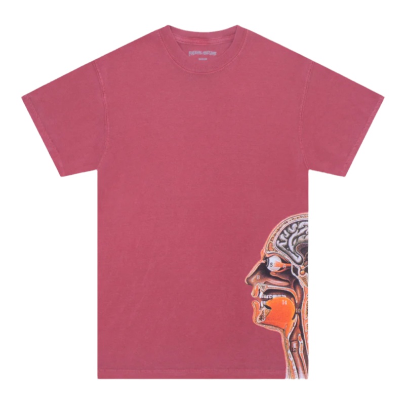 FA Awesome Anatomy T Shirt Maroon S