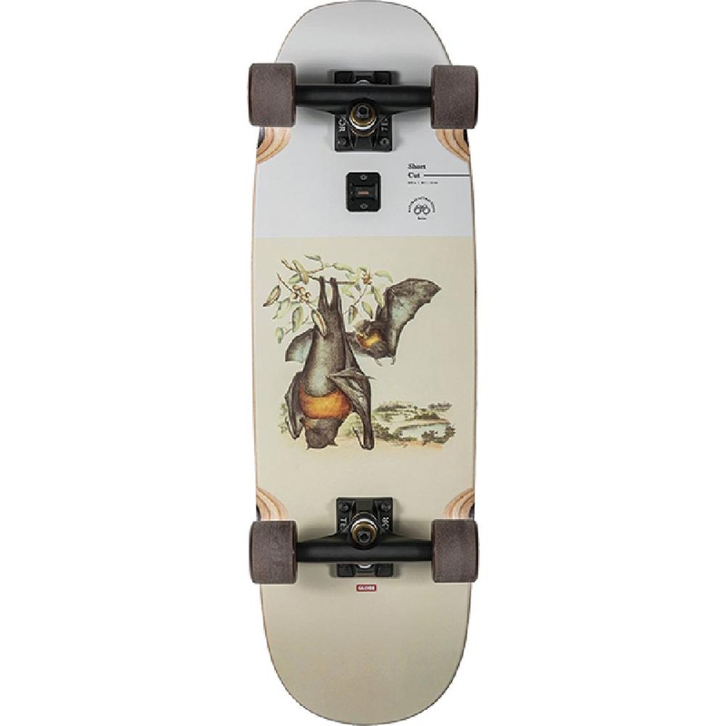 Globe Short Cut Flying Foxes 28″ Cruiser Longboard Complete