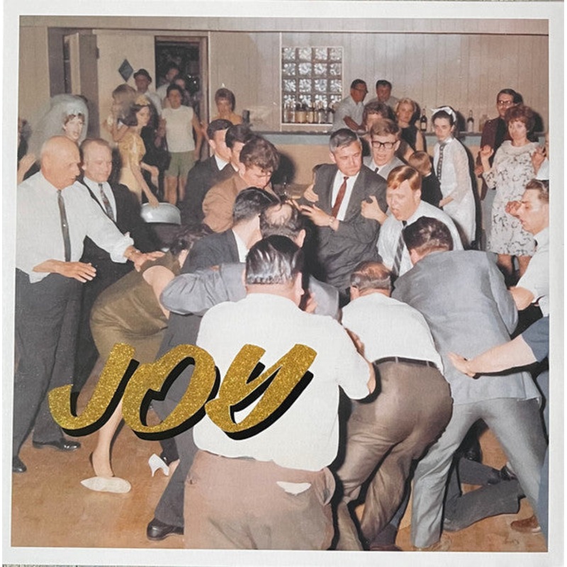 Idles  Joy As An Act Of Resistance Vinyl LP Record