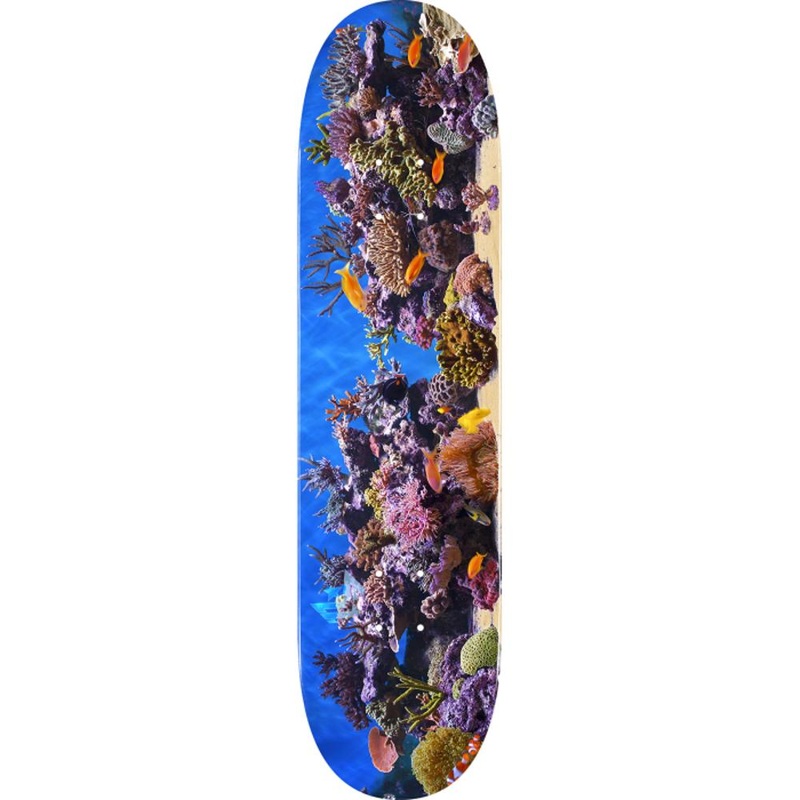 Mini Logo Fish Tank 8.0″ Skateboard Deck