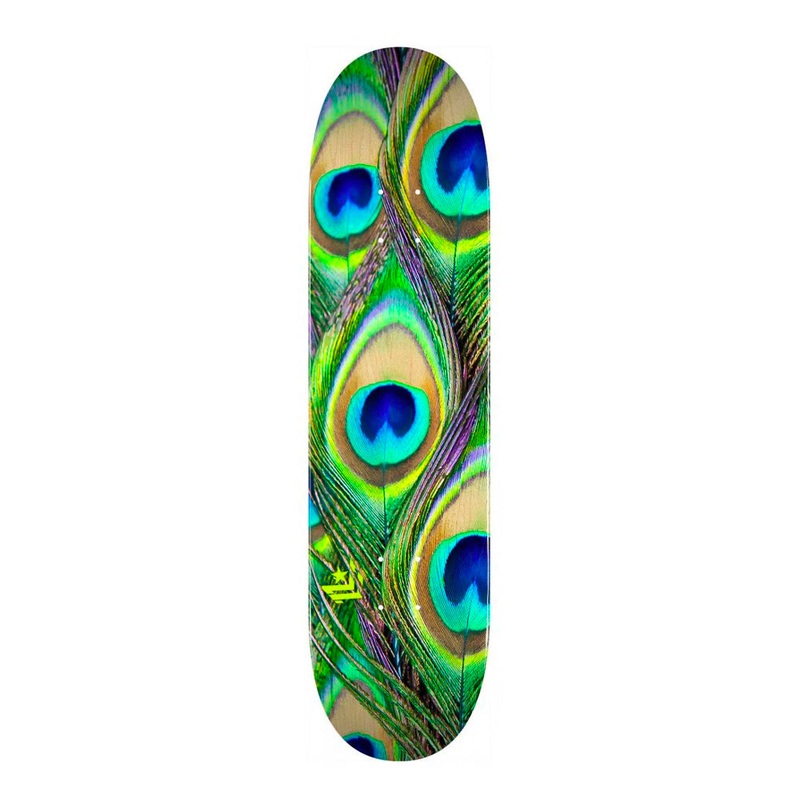 Mini Logo – 8.25″ – 18 Peacock Feather 243 Deck – Multi