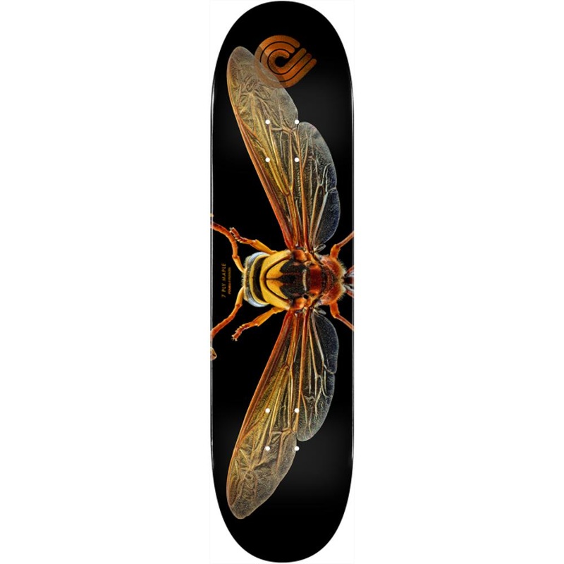 Powell Peralta Biss Potter Wasp 8.0″ Skateboard Deck