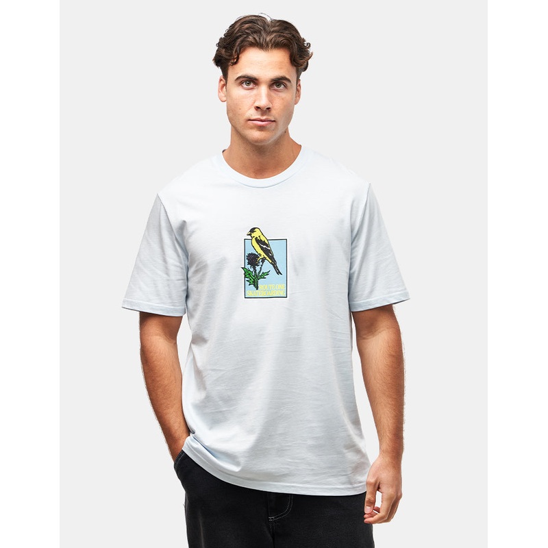 Route One Avian Organic T-Shirt – Ice Blue