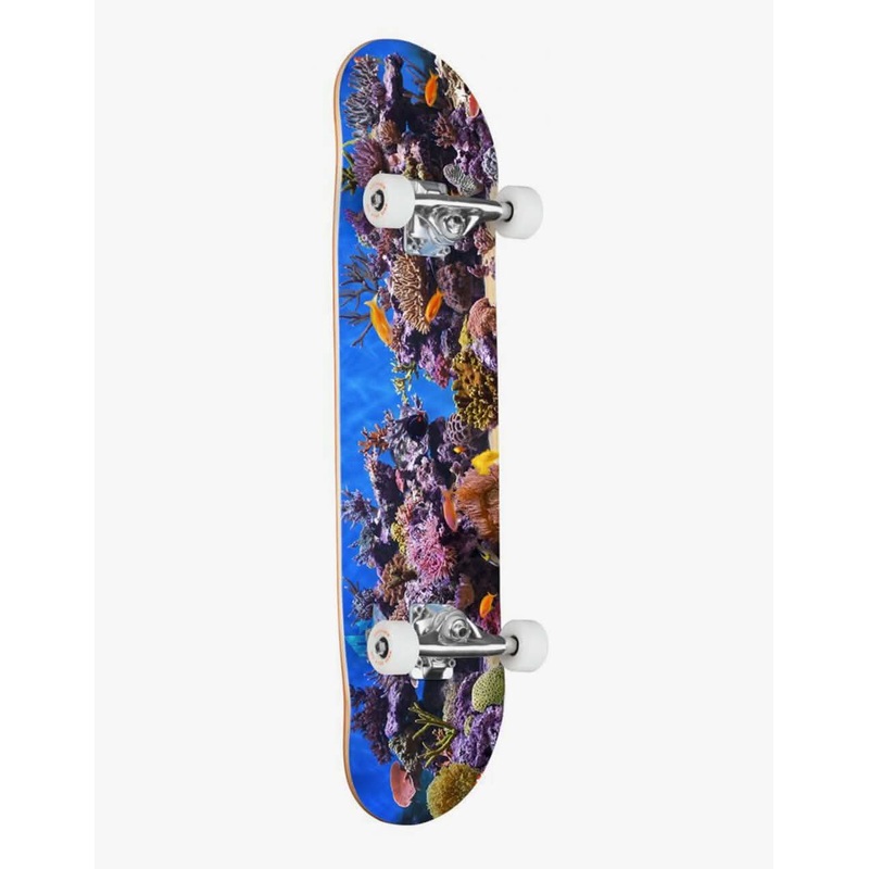 Mini Logo Fish Tank ’18’ 191 Complete Skateboard – 7.5″