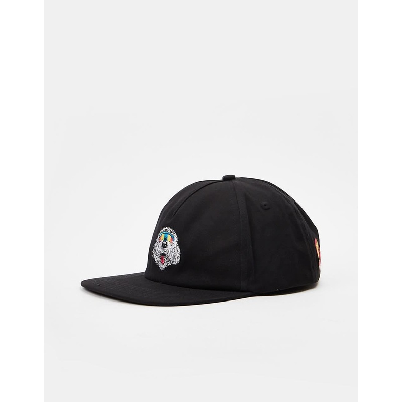 Santa Cruz McCoy Donut Dog Cap – Black