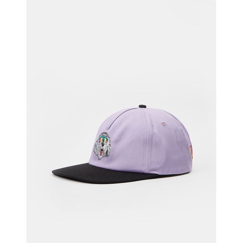 Santa Cruz McCoy Donut Dog Cap – Digital Lavender