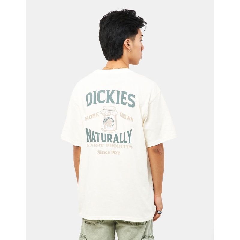 Dickies Elliston T-Shirt – Cloud