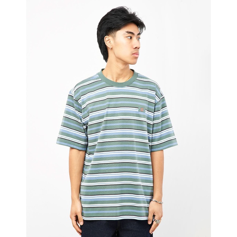 Dickies Glade Spring Striped T-Shirt – Horizontal Stripe Coronet