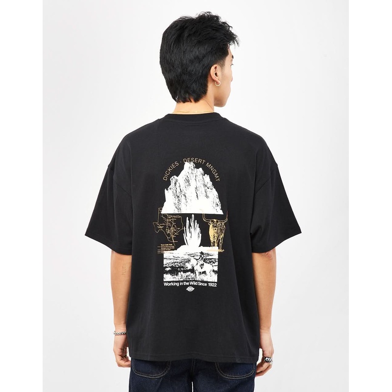 Dickies Pearisburg T-Shirt – Black