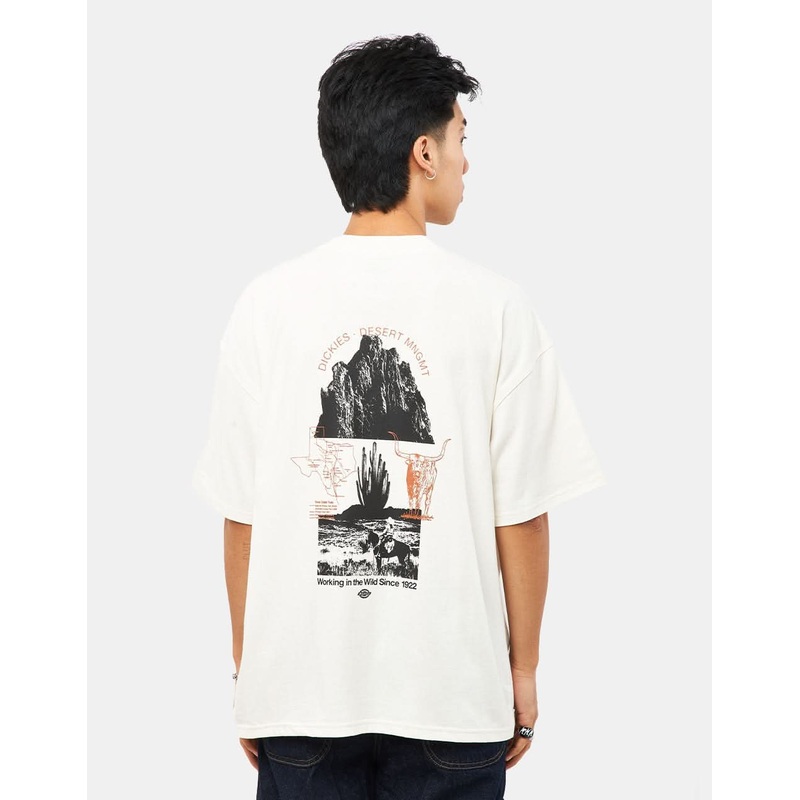 Dickies Pearisburg T-Shirt – Cloud