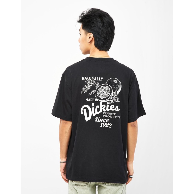 Dickies Raven T-Shirt – Black