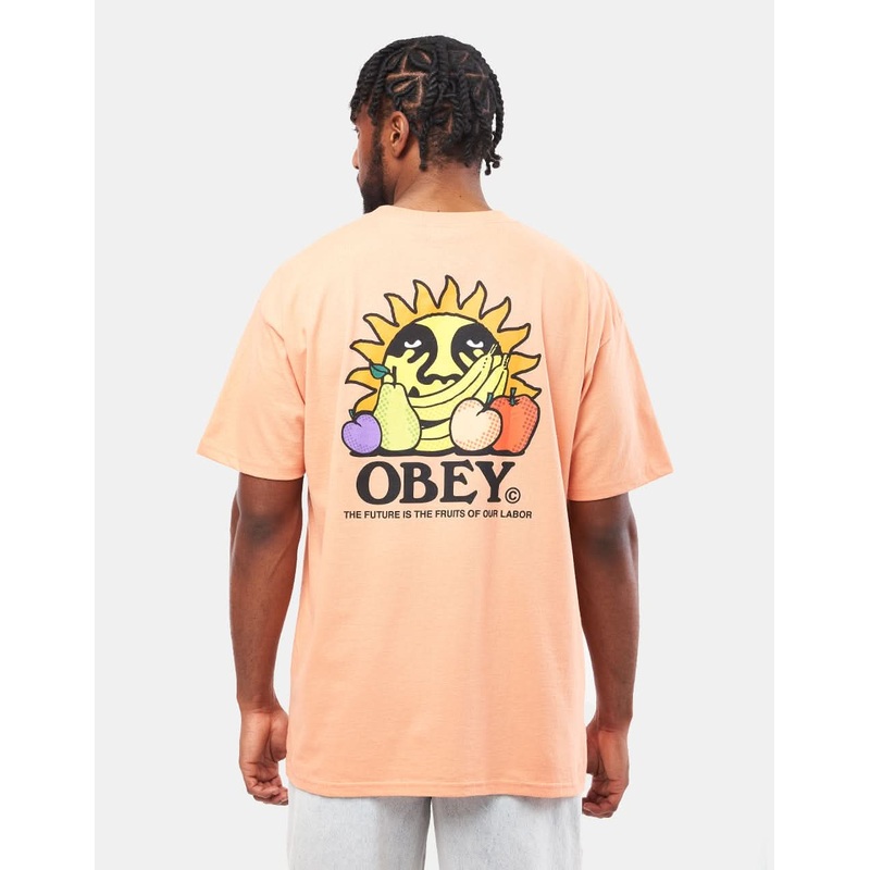 Obey The Future Is The Fruits Of Our Labor T-Shirt – Citrus