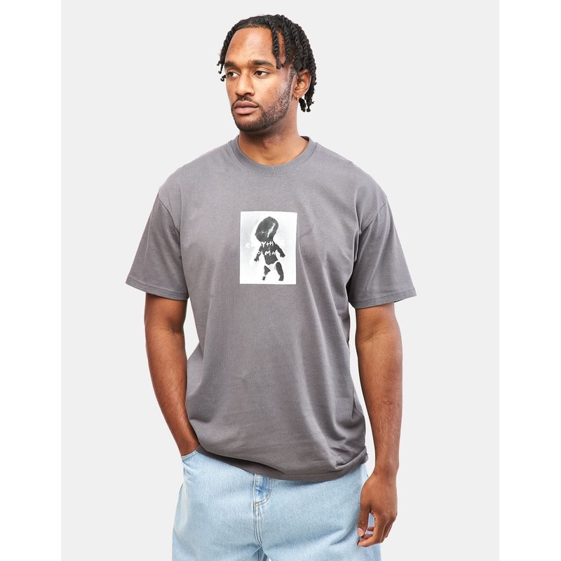 Polar Everything Is Normal T-Shirt – Graphite
