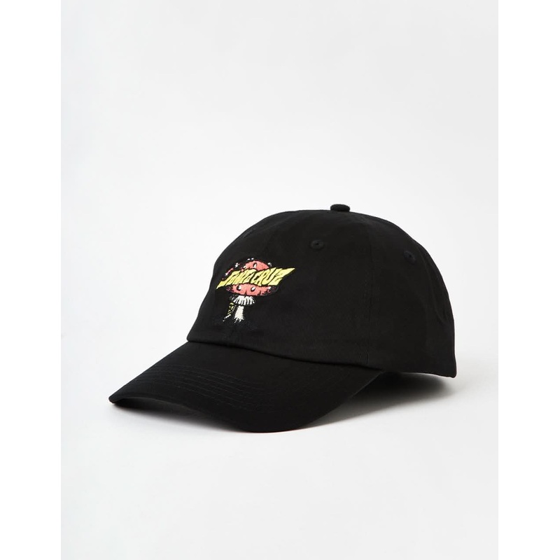 Santa Cruz Winkowski Alien Creep Cap – Black