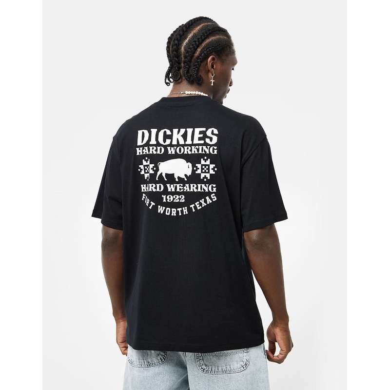 Dickies Hays T-Shirt – Black