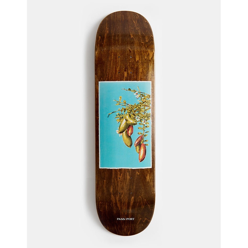Pass Port Lime Native Fruit Series Skateboard Deck – 8.25″