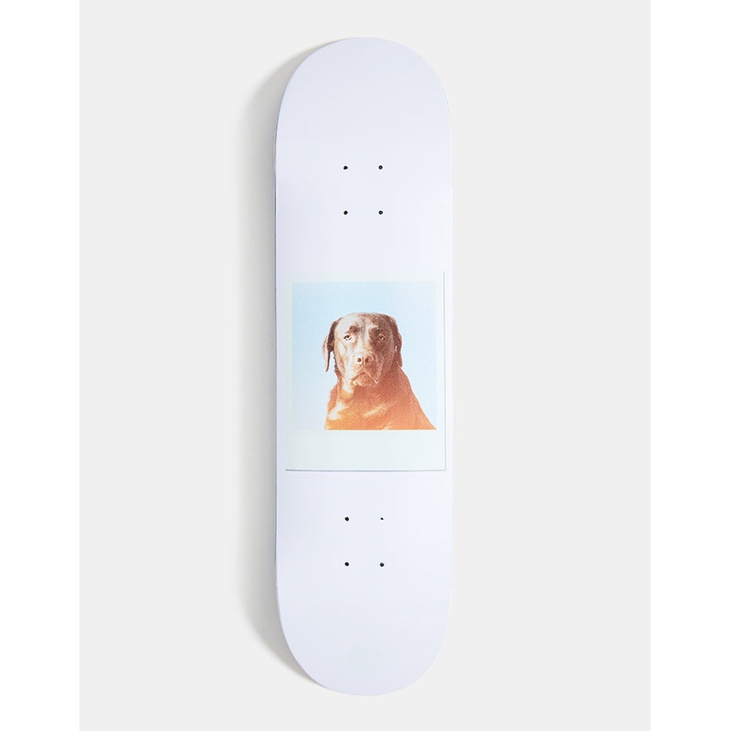 Jart Instant Film Skateboard Deck – 8.375″