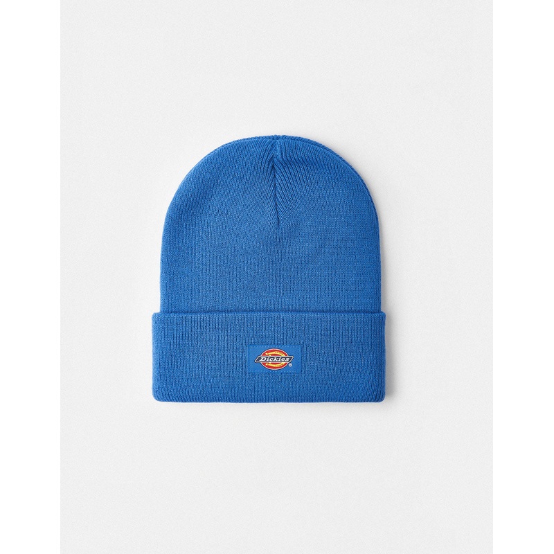 Dickies Gibsland Beanie – Turkish Sea