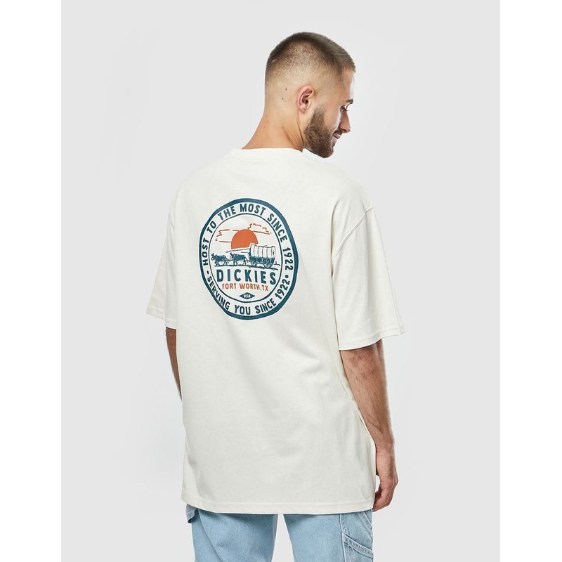 Dickies Greensburg T-Shirt – Whitecap Gray