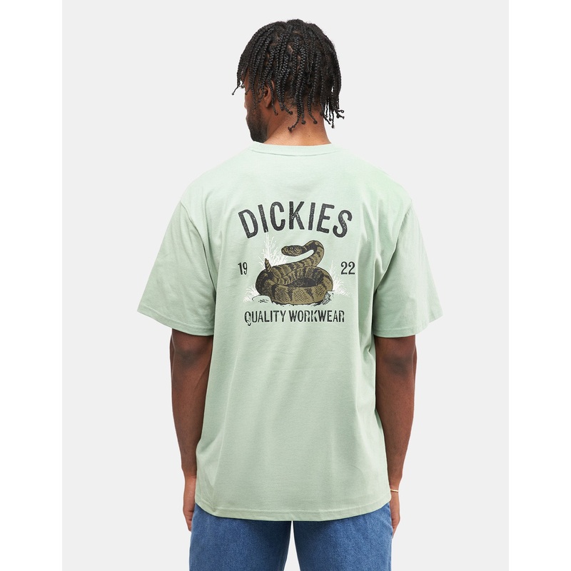 Dickies Snake T-Shirt – Iceberg Green