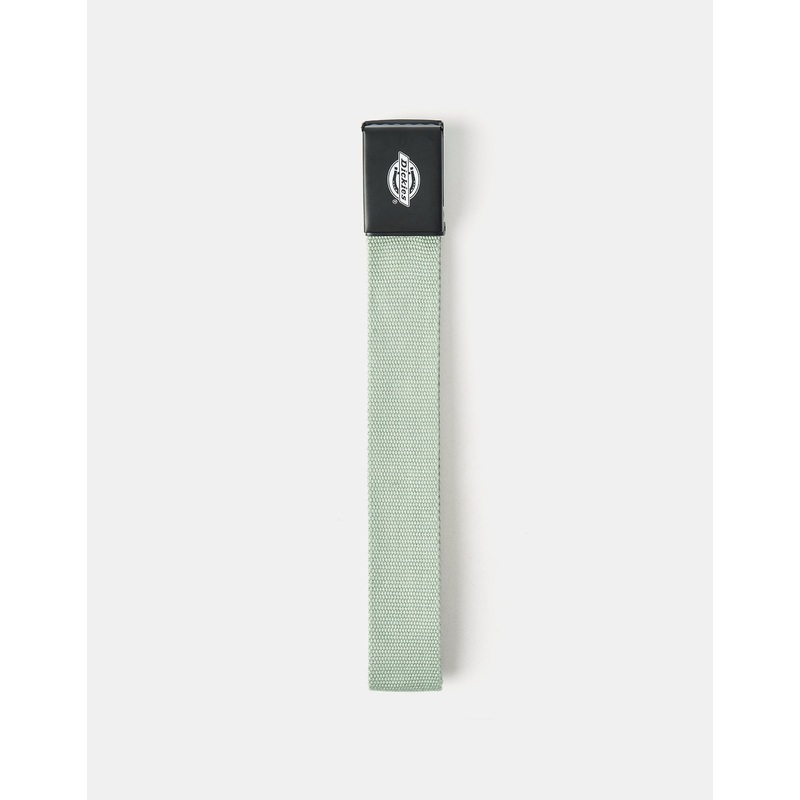 Dickies Orcutt Web Belt – Iceberg Green