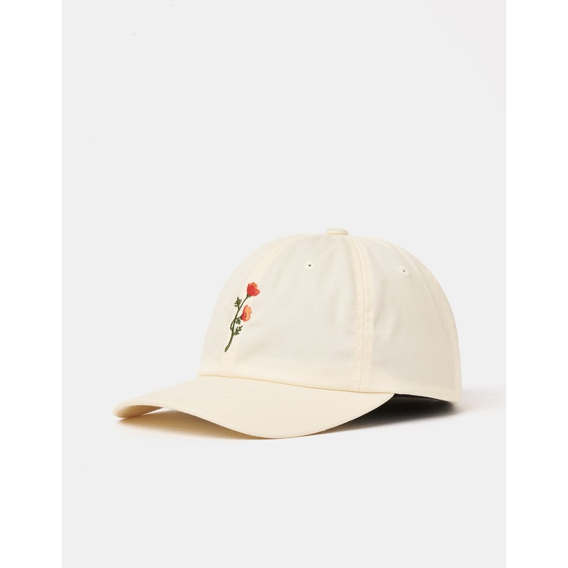 Stance Standard Adjustable Cap – Canvas
