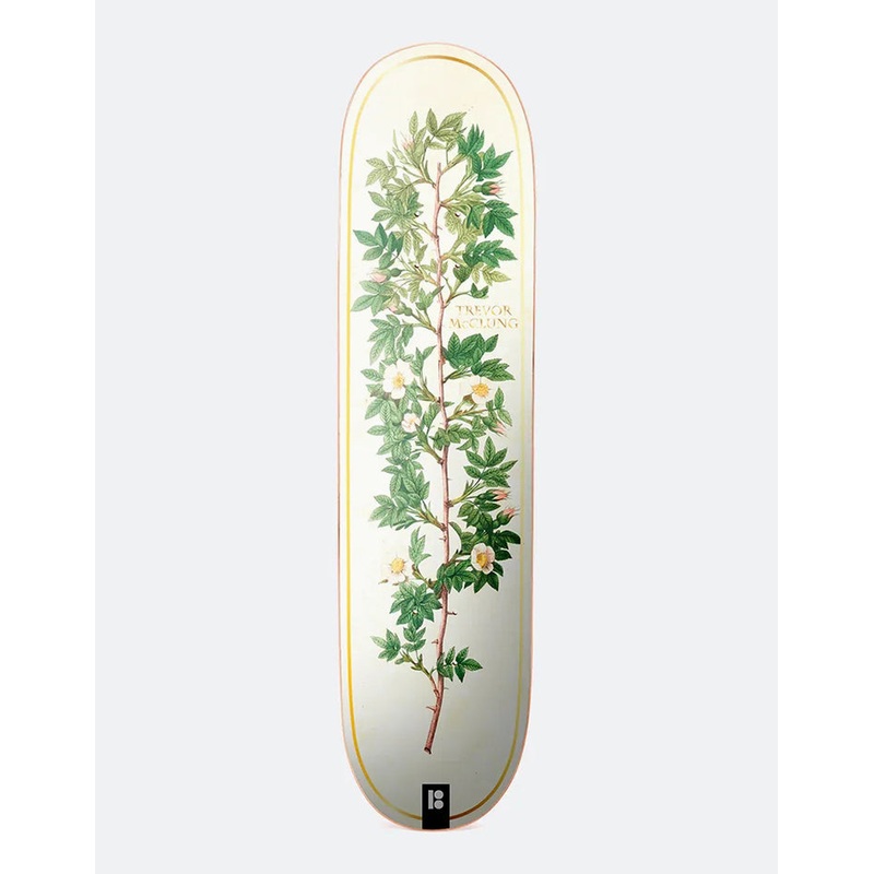 Plan B McClung Bloom Skateboard Deck – 8″