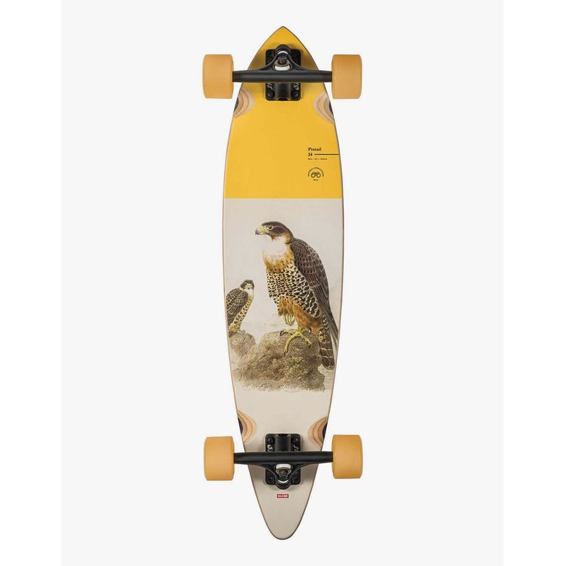 Globe Pintail 34 Falcon Longboard – 33.5″ x 8″