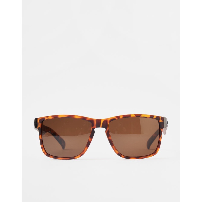 Santa Cruz Lucien Sunglasses – Tortoiseshell/Brown
