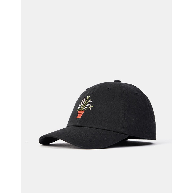 The Quiet Life Plants Dad Cap – Black